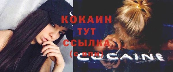 не бодяженный Михайлов