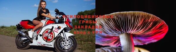 винт Мегион